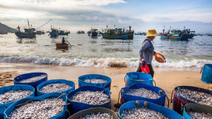 Indonesia develops thousands of fishing villages and makes strategic investments for fishermen