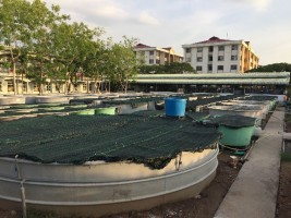 CTU-RAS: Recirculating Shrimp Farming for Sustainable Development