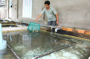 Chia sẻ: Ngành nuôi lươn tại Việt Nam: Hiện trạng, thách thức và định hướng phát triển kỹ thuật Chia sẻ: Ngành nuôi lươn tại Việt Nam: Hiện trạng, thách thức và định hướng phát triển kỹ thuật