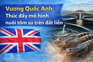 Vương Quốc Anh: Thúc đẩy mô hình nuôi tôm sú trên đất liền
