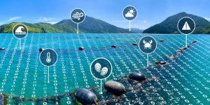 Vietnam boosts digital technology applications in aquaculture