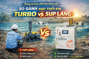 Comparison of Aquaculture Turbo Blower Specifications vs Traditional Roots Blower | HOTLINE: 1800.6071