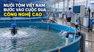 La industria camaronera de Vietnam entra en la carrera por la alta tecnología