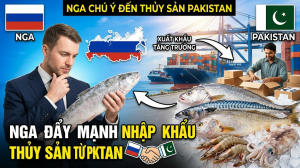 Các nhà nhập khẩu Nga ngày càng chú ý đến nguồn thủy sản từ Pakistan