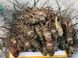 Trung Quốc dẫn dắt thị trường tôm hùm toàn cầu, Việt Nam vươn lên thành nhà cung cấp chủ lực