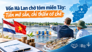 Dutch capital awaits Western Vietnamese shrimp: Funds are available, but mechanism is missing