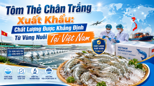 Camarón Vannamei de Exportación: Calidad Garantizada desde la Zona de Cultivo Viet Nam