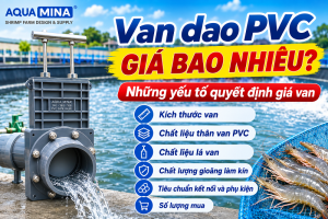 Van dao PVC giá bao nhiêu? Những yếu tố quyết định giá van