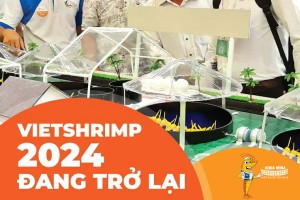 Tin mới: VietShrimp 2024 chính thức “tái khởi động”