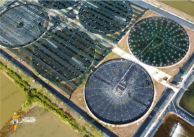 Góc Chia Sẻ: Tại sao cần thiết kế trại nuôi tôm công nghiệp 2023
