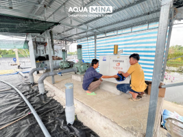 Máy thổi khí Turbo AQUA MINA: Giải pháp cấp khí êm, tiết kiệm điện cho ao nuôi
