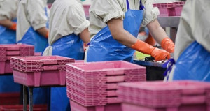 Seafood exports in Q1 2026 reached USD 2.64 billion but faced numerous trade barriers