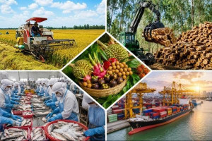 5 meses de 2026: Las exportaciones agrícolas, forestales y pesqueras superan los 30.000 millones de dólares