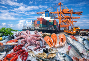 Las exportaciones de productos del mar aumentan más del 10%, los cangrejos tienen mayores oportunidades en el mercado estadounidense, mientras que el camarón sigue bajo presión