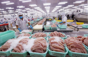 El arancel del 12,5% y un nuevo desafío para los productos pesqueros vietnamitas en el mercado estadounidense