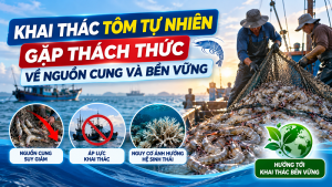 La pesca de camarón silvestre enfrenta desafíos en materia de suministro y sostenibilidad