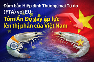 Đảm bảo Hiệp định Thương maại Tự do (FTA) với EU: Tôm Ấn Độ gây áp lực lên thị phần của Việt Nam