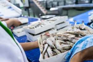 Đồng Tháp đẩy mạnh xuất khẩu nông – thủy sản có lợi thế cạnh tranh Đồng Tháp đẩy mạnh xuất khẩu nông – thủy sản có lợi thế cạnh tranh