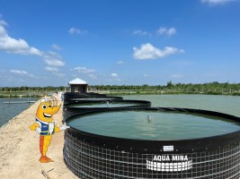 APPLICATIONS OF MOBILE WATER TANKS AND ROUND AQUACULTURE POOLS IN SHRIMP FARMING