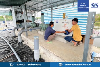 Aqua Mina lắp đặt máy thổi khí thủy sản tận nơi tại Cà Mau | Giải pháp thổi khí mới công nghệ cao tiên tiến