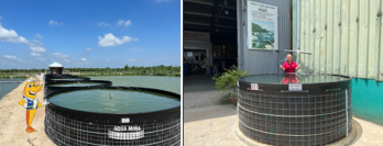 HƯỚNG DẪN LẮP ĐẶT HỒ TRÒN NỔI (AO TRÒN DI ĐỘNG) HƯỚNG DẪN LẮP ĐẶT HỒ TRÒN NỔI (AO TRÒN DI ĐỘNG)